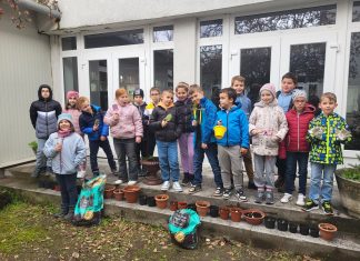 Nemzeti Tehetségprogram pályázat