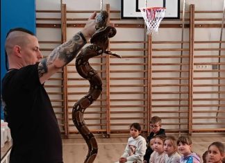 Állatvédelmi témahét