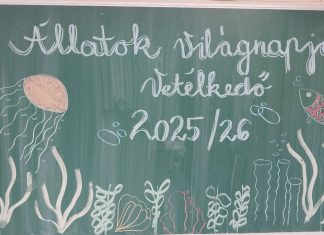 Állatvédelmi témahét – Állatok Világnapja Vetélkedő a felső tagozaton