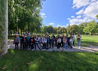 Medve Matek alsó tagozat 2025.