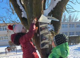 Téli „vendégeink” ellátása.