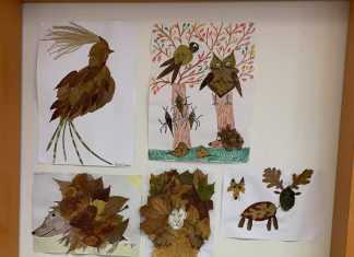 Állatok világnapja 2024. október 4.