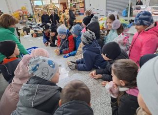 Piaclátogatás 2024. november 22.