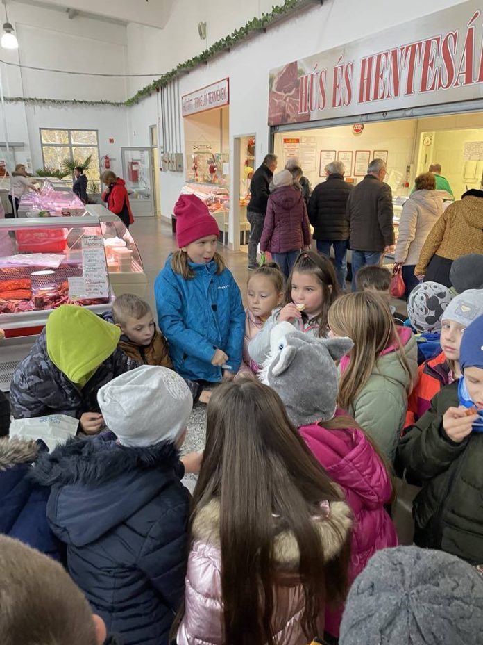 488086692_1224619479252565_5104238506895353569_n