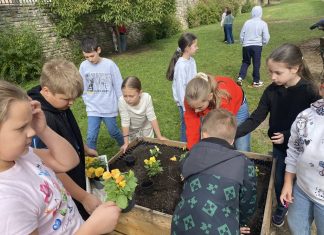 Paradicsom ágyásunk átalakult 2025. október