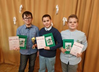 Sikerek a Megyei Matematikaversenyen