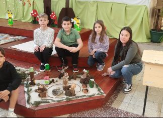 Fenntarthatósági témahét 4b