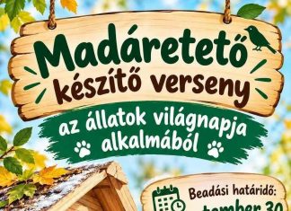 Madáretető készítő verseny