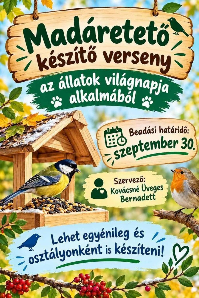 Madáretető készítő verseny