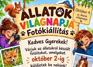 Állatok Világnapja Fotókiállítás