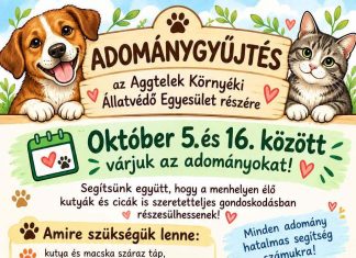 ADOMÁNYGYŰJTÉS