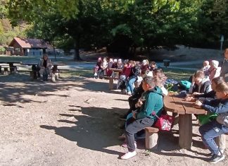Erdei iskola I-II.